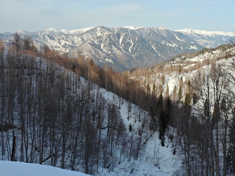 Разведка Кантаури - Кеда