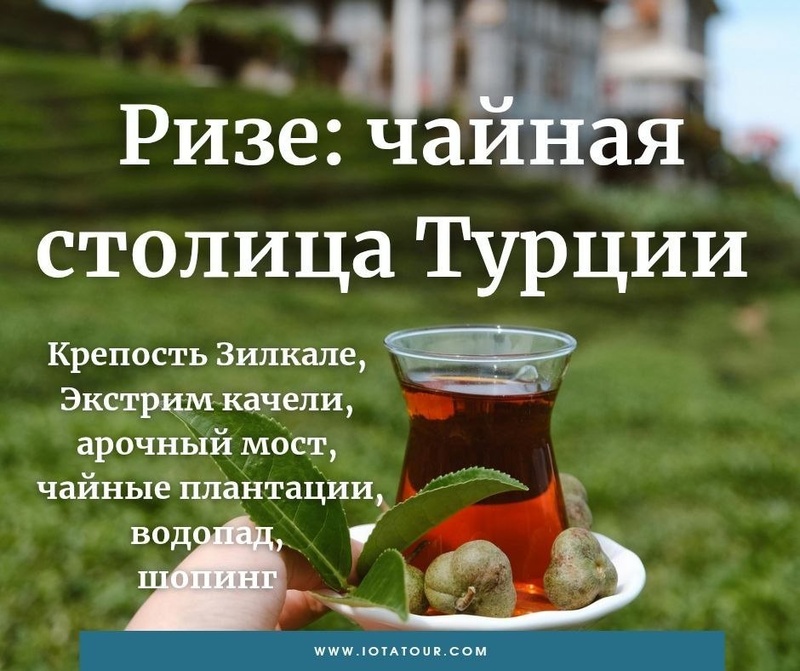 Экскурсия в Ризе на чайные плантации